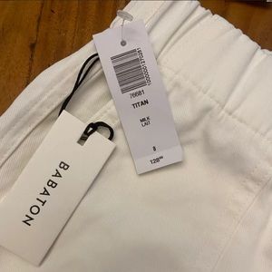 Aritzia Babaton Titan pants